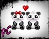 *PC* Panditas in love