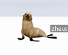 !Z Cute Seal Furni 1