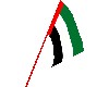 E- uae flag