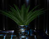 THE DEEP PLANT 2