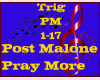 Post Malone Pray More