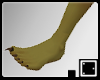 ` Conserved Foot