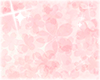 1Se Pink Flowers