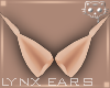 Ears Fleshy 1a Ⓚ