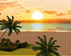 T- Beach Sunset