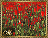 ADD RED ROSES GARDEN