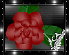 Red Floor Roses