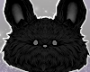 ♡ Happy Pet Black