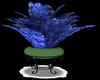 Blue Flower Plant