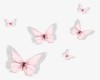 pink white butterfly rug