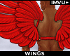 ! amore wings