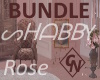 SHABBY ROSE DECORATED