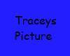 traceys pictures
