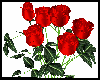 Hold 7 Roses