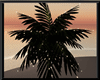 Tropical Palm / Lights