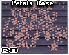 Petals Rose