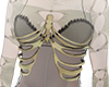 alexander McQeen spine