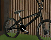 Old Bike /Pose