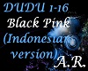 Blank Pink,Dudu,Indonesa