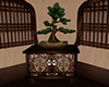 relax zen bonsai cabinet
