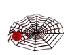 halloween spider & web