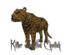 Killer Spotted Cheetah