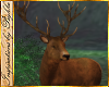 I~Woodland Stag V1