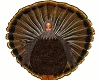 Turkey Costume M / F