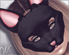 Kitten Mask Ears