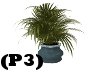 (P3)Upscale PLant 2