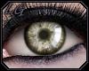 [LG] Lunar Eyes