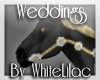 WL~BWG Wedding Horse