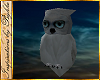 I~Snow Owl