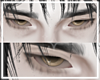 ✦ Zuko