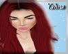 Y!| Kardashian 7 Red