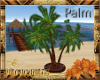 Palm Coco