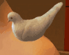 ANIM DOVE ON SHOULDER- F