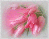 pink flower sticker
