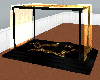 Black and Gold Tent