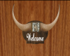 (MC) Welcome Bull Horn 