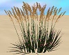 Animated Sea Grass