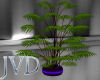 JVD Purple Pot Plant