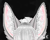 Ash Wolf Ears