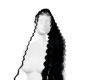 Bia