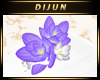 D.H. Shim Purple Lotus