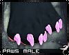 !F:Kusa:Paws Male