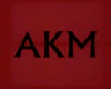 [AKM]NAMED NECKLACES F.