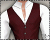 Velvet Elegant Xmas Suit