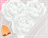 🔔 White Roses Lyr