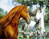 HORSES IN LOVE 